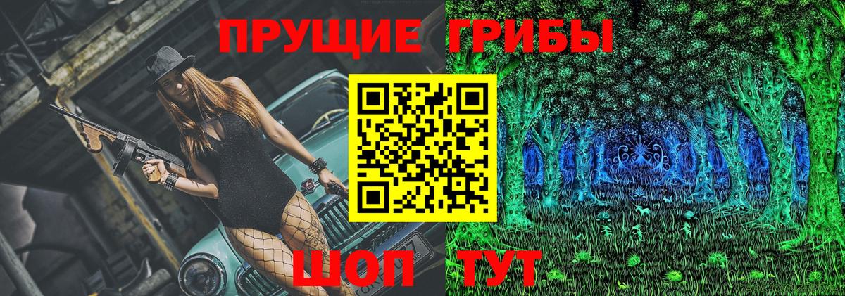 Псилоцибиновые грибы Cubensis  Вход с VPN  Коммунар  Псилоцибиновые грибы Cubensis 